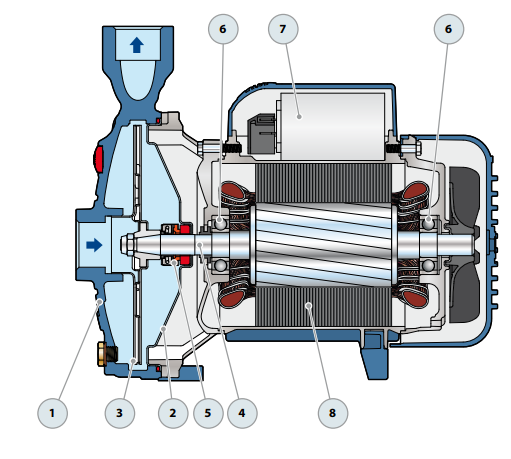 Pedrollo CPm 160C Tek Fanlı Santrifüj Pompa
